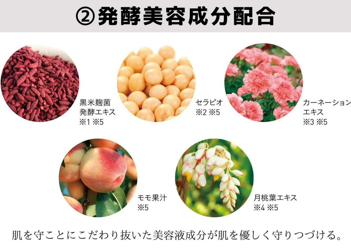 クイーンズデイの生ファンデーションは、発酵美容成分配合。